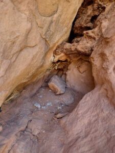 ArchesMoabOct24-100 images from Arches National Park - Oct 2024