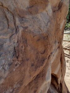 ArchesMoabOct24-103 images from Arches National Park - Oct 2024