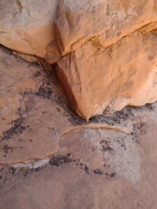 ArchesMoabOct24-104 images from Arches National Park - Oct 2024