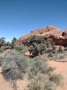 ArchesMoabOct24-105 images from Arches National Park - Oct 2024