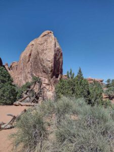 ArchesMoabOct24-107 images from Arches National Park - Oct 2024