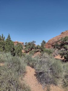 ArchesMoabOct24-108 images from Arches National Park - Oct 2024