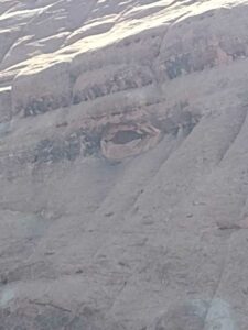 ArchesMoabOct24-109 images from Arches National Park - Oct 2024