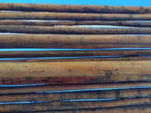 ArchesMoabOct24-138 images from Arches National Park - Oct 2024