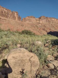 ArchesMoabOct24-152 images from Arches National Park - Oct 2024
