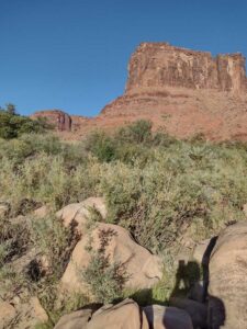 ArchesMoabOct24-153 images from Arches National Park - Oct 2024