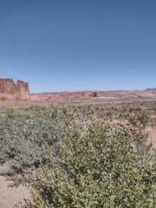 ArchesMoabOct24-18 images from Arches National Park - Oct 2024