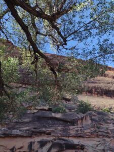 ArchesMoabOct24-208 images from Arches National Park - Oct 2024