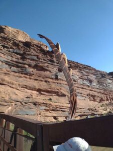 ArchesMoabOct24-212 images from Arches National Park - Oct 2024