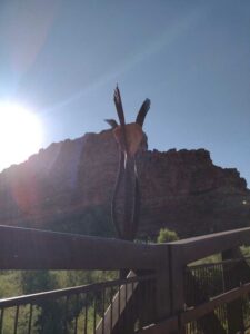 ArchesMoabOct24-214 images from Arches National Park - Oct 2024