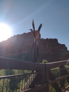 ArchesMoabOct24-215 images from Arches National Park - Oct 2024