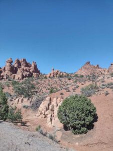 ArchesMoabOct24-48 images from Arches National Park - Oct 2024