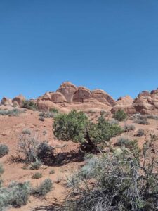 ArchesMoabOct24-50 images from Arches National Park - Oct 2024