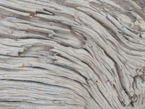 ArchesMoabOct24-66 images from Arches National Park - Oct 2024