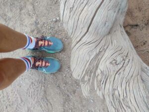 ArchesMoabOct24-67 images from Arches National Park - Oct 2024