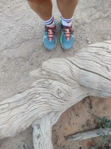 ArchesMoabOct24-68 images from Arches National Park - Oct 2024