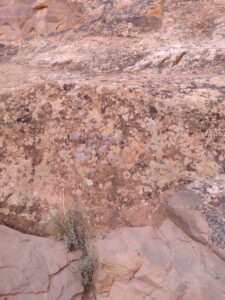 ArchesMoabOct24-73 images from Arches National Park - Oct 2024