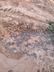 ArchesMoabOct24-74 images from Arches National Park - Oct 2024