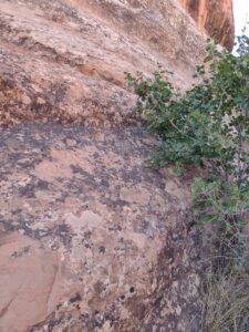 ArchesMoabOct24-75 images from Arches National Park - Oct 2024