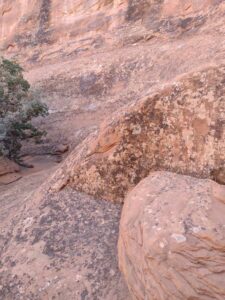 ArchesMoabOct24-76 images from Arches National Park - Oct 2024