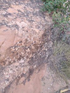 ArchesMoabOct24-77 images from Arches National Park - Oct 2024