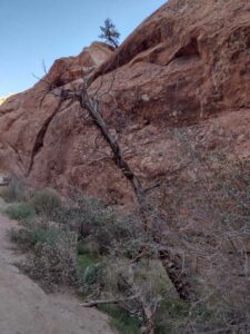 ArchesMoabOct24-78 images from Arches National Park - Oct 2024