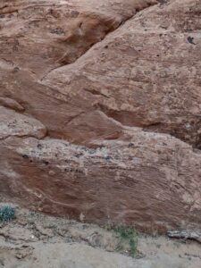 ArchesMoabOct24-81 images from Arches National Park - Oct 2024