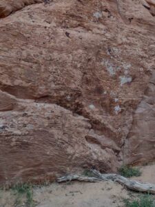 ArchesMoabOct24-82 images from Arches National Park - Oct 2024