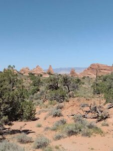 ArchesMoabOct24-86 images from Arches National Park - Oct 2024
