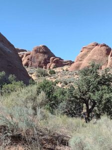 ArchesMoabOct24-88 images from Arches National Park - Oct 2024