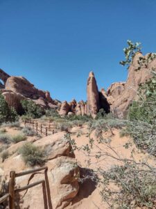 ArchesMoabOct24-95 images from Arches National Park - Oct 2024
