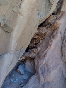 ArchesMoabOct24-97 images from Arches National Park - Oct 2024