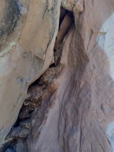 ArchesMoabOct24-98 images from Arches National Park - Oct 2024