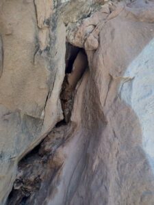 ArchesMoabOct24-99 images from Arches National Park - Oct 2024