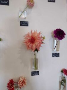 image from Ashton Gardens at Thanksgiving Point - Lehi UT