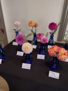 image from Ashton Gardens at Thanksgiving Point - Lehi UT