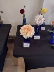 image from Ashton Gardens at Thanksgiving Point - Lehi UT