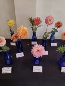 image from Ashton Gardens at Thanksgiving Point - Lehi UT