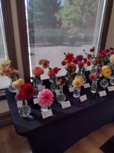 image from Ashton Gardens at Thanksgiving Point - Lehi UT