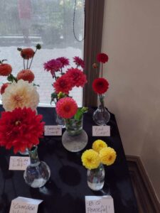 image from Ashton Gardens at Thanksgiving Point - Lehi UT