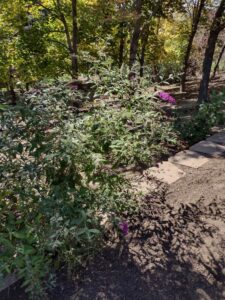 image from Ashton Gardens at Thanksgiving Point - Lehi UT