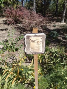 image from Ashton Gardens at Thanksgiving Point - Lehi UT