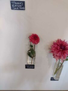 image from Ashton Gardens at Thanksgiving Point - Lehi UT