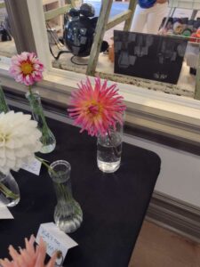 image from Ashton Gardens at Thanksgiving Point - Lehi UT