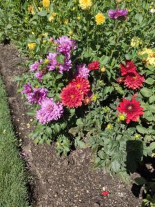 image from Ashton Gardens at Thanksgiving Point - Lehi UT