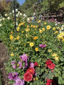 image from Ashton Gardens at Thanksgiving Point - Lehi UT