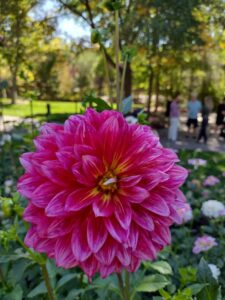 image from Ashton Gardens at Thanksgiving Point - Lehi UT