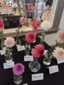 image from Ashton Gardens at Thanksgiving Point - Lehi UT