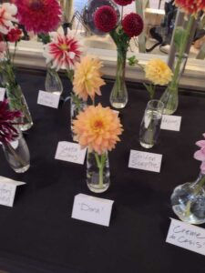 image from Ashton Gardens at Thanksgiving Point - Lehi UT