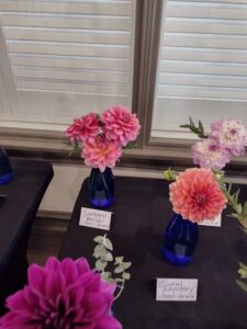 image from Ashton Gardens at Thanksgiving Point - Lehi UT